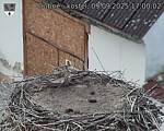 Capi_Dubne_20250909_170002.jpg