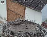 Capi_Dubne_20250909_170502.jpg