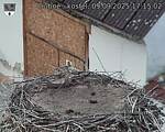 Capi_Dubne_20250909_171502.jpg