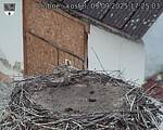Capi_Dubne_20250909_172503.jpg