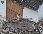 Capi_Dubne_20250909_173502.jpg