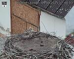 Capi_Dubne_20250909_174003.jpg