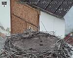 Capi_Dubne_20250909_180004.jpg