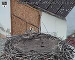 Capi_Dubne_20250909_181002.jpg