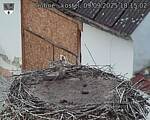 Capi_Dubne_20250909_181502.jpg