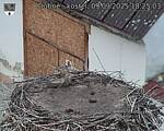Capi_Dubne_20250909_182503.jpg