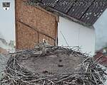 Capi_Dubne_20250909_183002.jpg