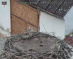 Capi_Dubne_20250909_183503.jpg