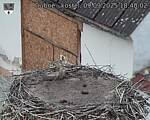 Capi_Dubne_20250909_184002.jpg