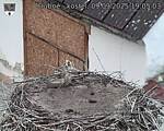 Capi_Dubne_20250909_190503.jpg