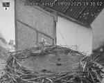 Capi_Dubne_20250909_193002.jpg