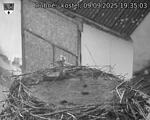 Capi_Dubne_20250909_193503.jpg