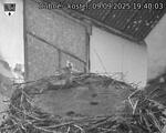 Capi_Dubne_20250909_194003.jpg