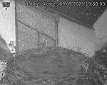 Capi_Dubne_20250909_195003.jpg