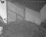 Capi_Dubne_20250909_195502.jpg