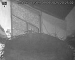 Capi_Dubne_20250909_202502.jpg