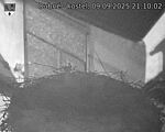 Capi_Dubne_20250909_211002.jpg