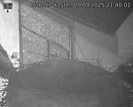 Capi_Dubne_20250909_214002.jpg