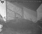 Capi_Dubne_20250909_231502.jpg