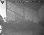 Capi_Dubne_20250909_234503.jpg
