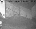 Capi_Dubne_20250910_030502.jpg