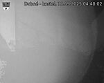 Capi_Dubne_20250910_044002.jpg