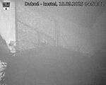 Capi_Dubne_20250910_045002.jpg