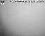 Capi_Dubne_20250910_050502.jpg