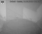 Capi_Dubne_20250910_061002.jpg