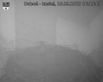 Capi_Dubne_20250910_061503.jpg