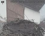 Capi_Dubne_20250910_090502.jpg