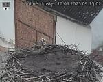 Capi_Dubne_20250910_091502.jpg