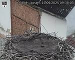 Capi_Dubne_20250910_093003.jpg