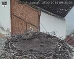 Capi_Dubne_20250910_093503.jpg