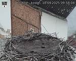Capi_Dubne_20250910_095004.jpg