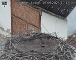 Capi_Dubne_20250910_101003.jpg