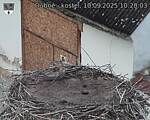 Capi_Dubne_20250910_102003.jpg