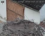 Capi_Dubne_20250910_103003.jpg