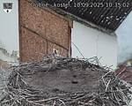 Capi_Dubne_20250910_103502.jpg