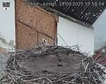 Capi_Dubne_20250910_105004.jpg