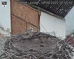 Capi_Dubne_20250910_105502.jpg
