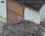 Capi_Dubne_20250910_110003.jpg