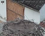 Capi_Dubne_20250910_111002.jpg