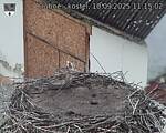 Capi_Dubne_20250910_111502.jpg