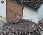 Capi_Dubne_20250910_115004.jpg