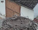 Capi_Dubne_20250910_115504.jpg