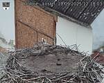 Capi_Dubne_20250910_121003.jpg
