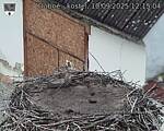 Capi_Dubne_20250910_121504.jpg