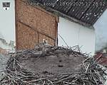 Capi_Dubne_20250910_122002.jpg