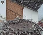 Capi_Dubne_20250910_123502.jpg